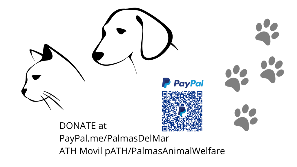 Ways to Donate to Palmas Animal Welfare